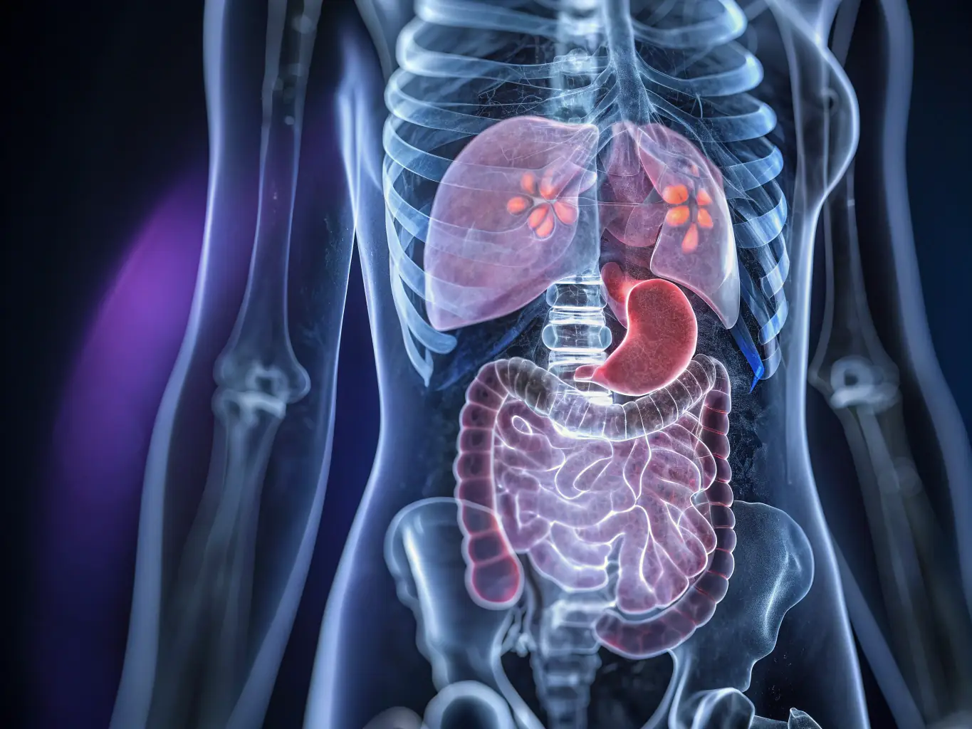 A detailed MRI image of the abdomen, clearly showing internal organs such as the liver, kidneys, and pancreas, taken in a diagnostic imaging center.